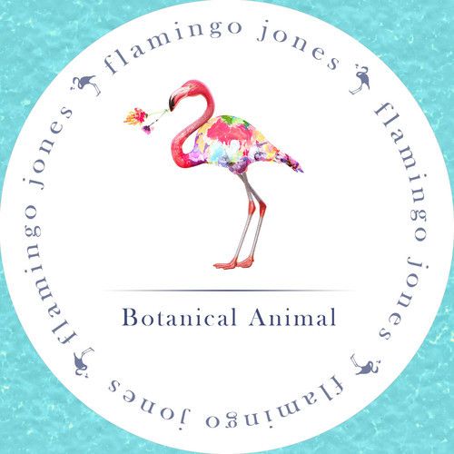 Flamingo Jones