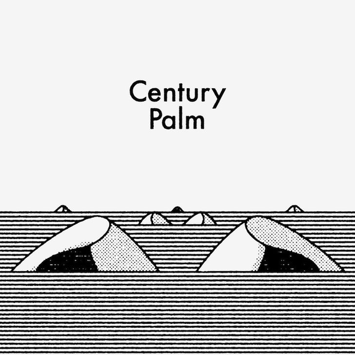 Century Palm