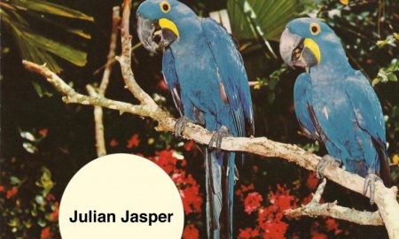 Julian Jasper