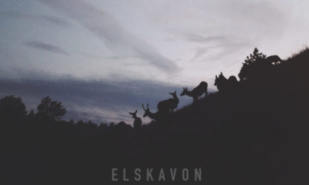 Elskavon