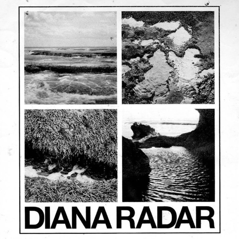 Diana Radar