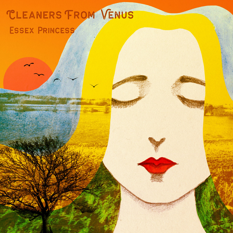 The Cleaners From Venus