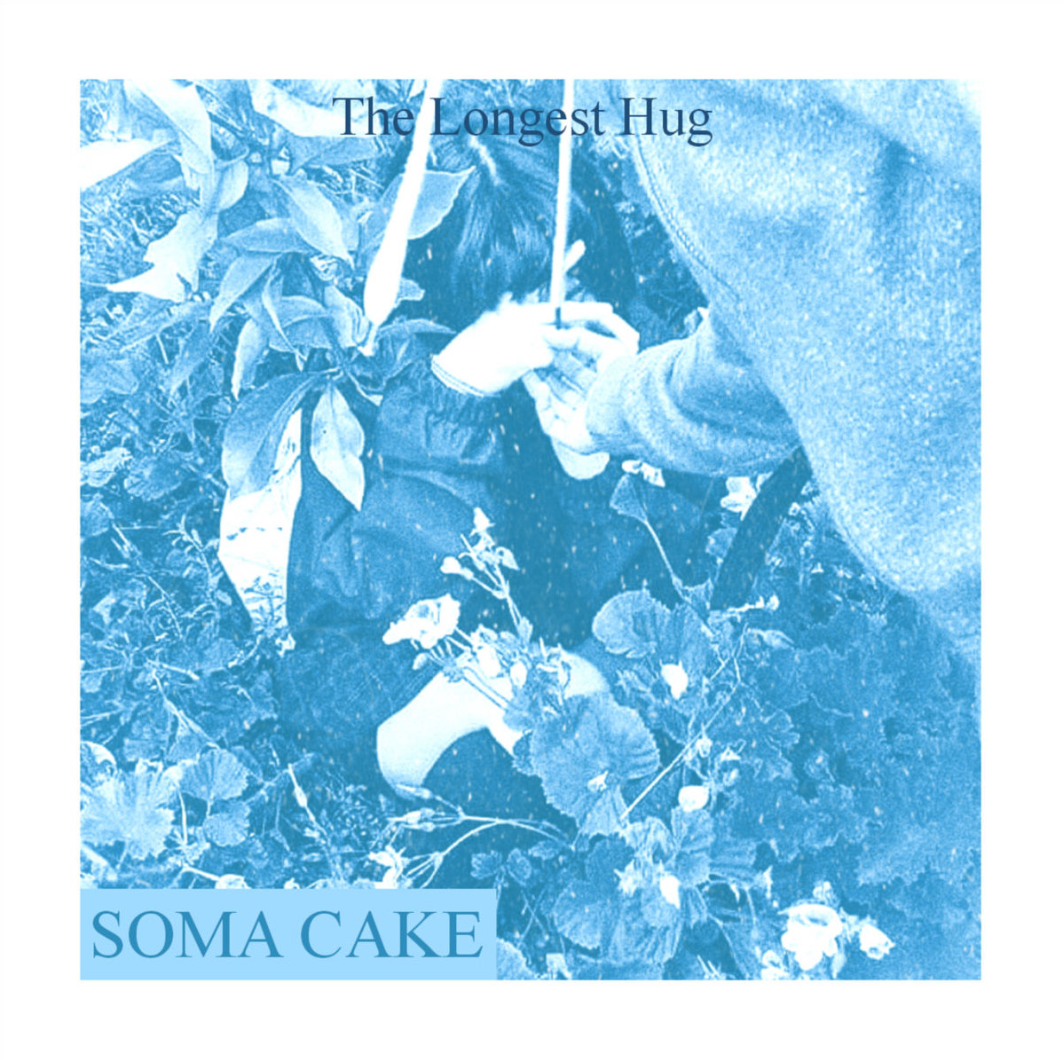 Soma Cake