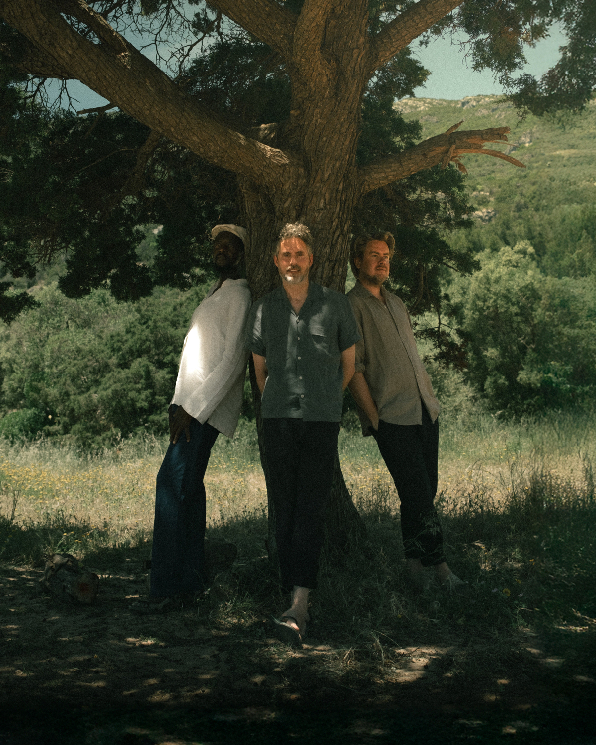 HAEVN & Neco Novellas