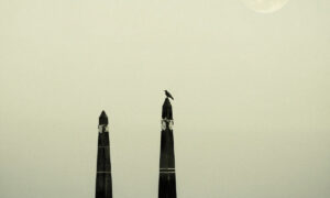 Niel Brooks、'East Of Everywhere'を公開