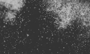 The Satellite Station、'Fine'を公開