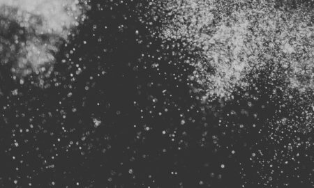 The Satellite Station