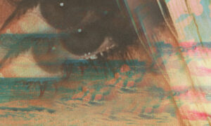 soft siren、'California Heatwave'を公開