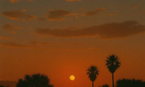 Akkilles、'Drivin''を公開