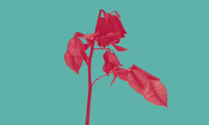 Club 8、'Your Modern Heart'を公開