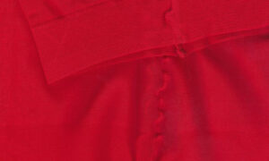 Ethel & Banshee The Great、'Sorted'のMVを公開