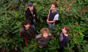 The Cradles、'Novruz'を公開