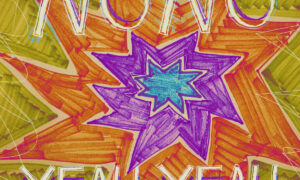 Chinese American Bear