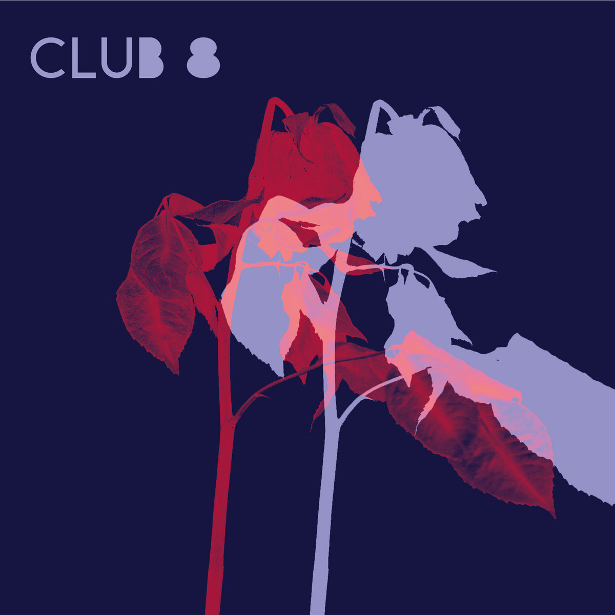 Club 8