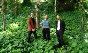 INTERIORS、'Ancanthe Park'のMVを公開