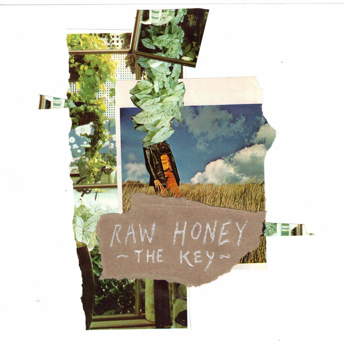 Raw Honey