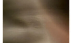 Sean Waters & the Sunrise Genius