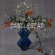 CASTLEBEAT