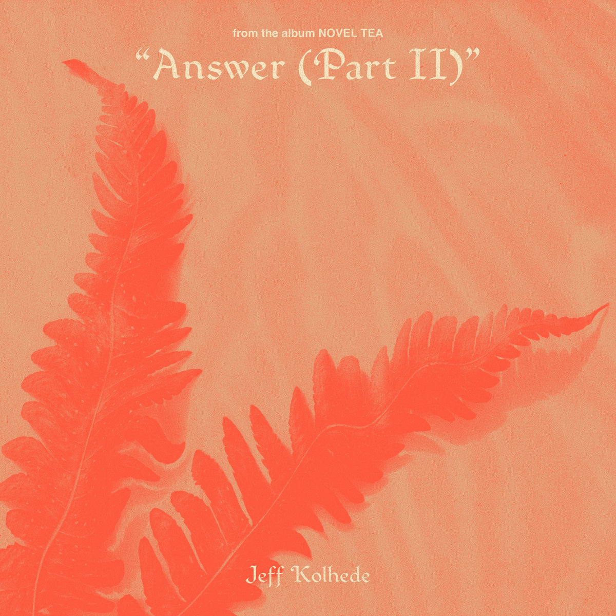 Jeff Kolhede