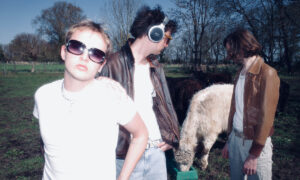 horses4ever
