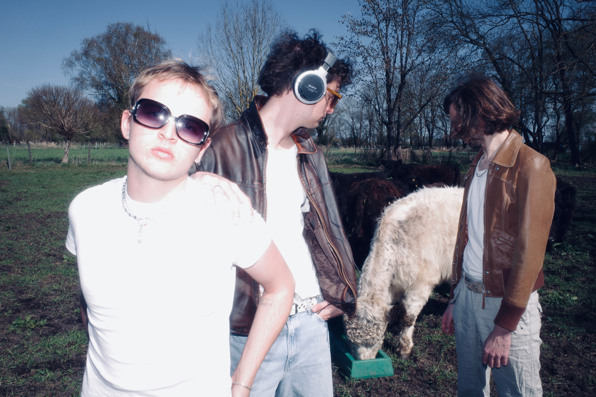 horses4ever