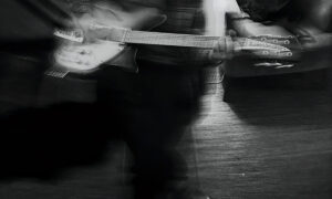 Bitterspring