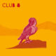 Club 8