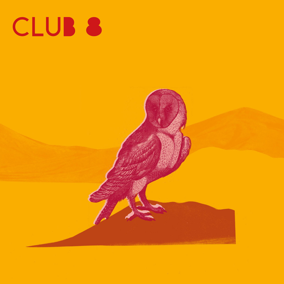 Club 8