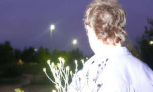 soft star